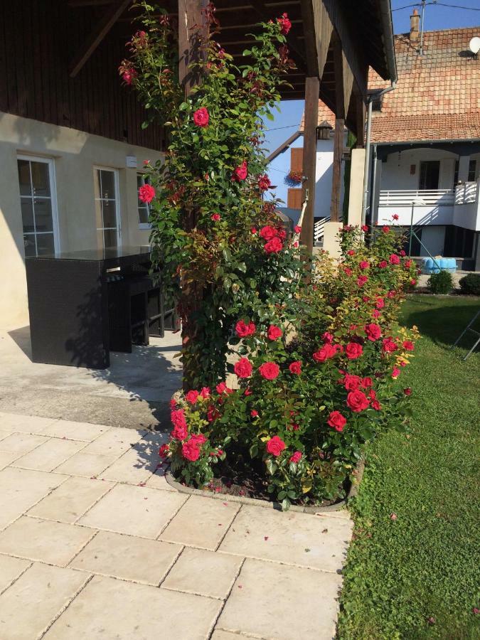 마르콜샤임 Alsace Maison 5P Piscine Europapark Rulantica 빌라 외부 사진